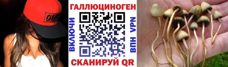 даркнет сайт Короча Галлюциногенные грибы Psilocybine cubensis